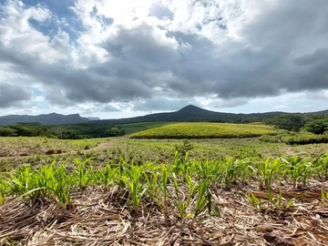 Terrain Agricole