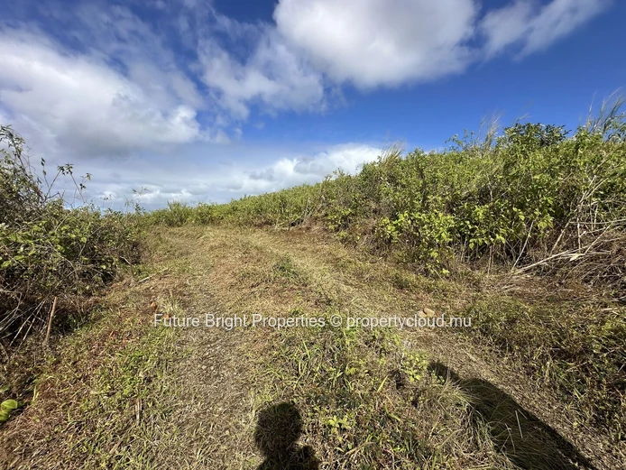 206 perches Agricultural Land for Sale in Providence Quartier Militaire.