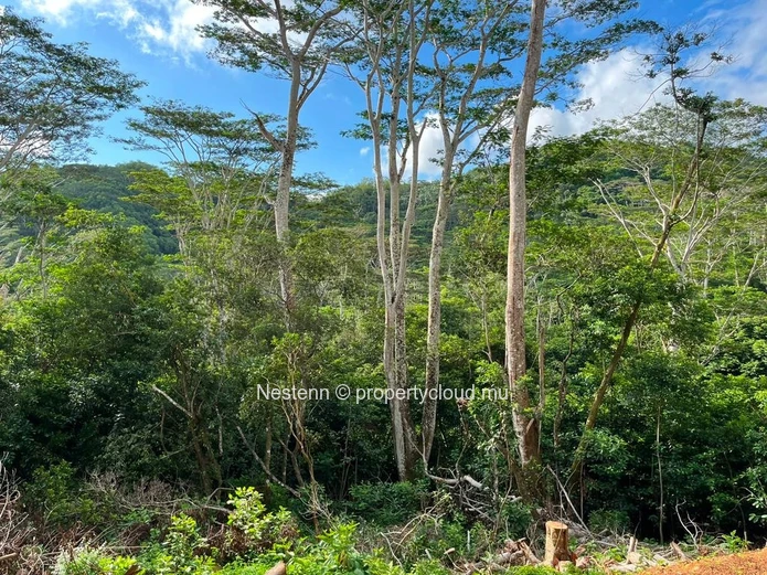 Exceptional plot of land – A peaceful retreat surrounded by nature