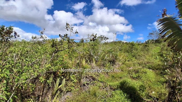 A vast plot of land, thousands of possibilities — 36,332 m² in L'Espérance