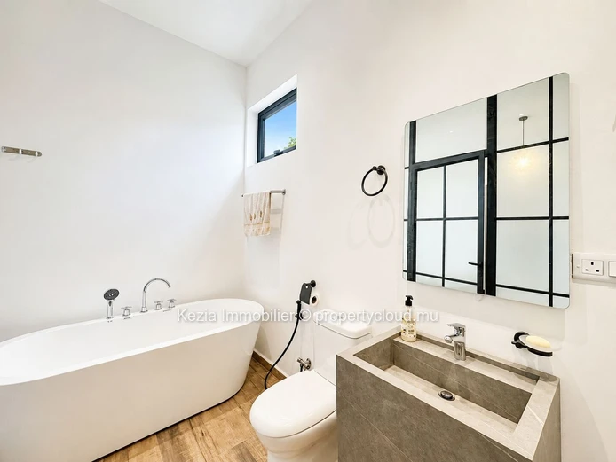 Contemporary Apartment With Jacuzzi