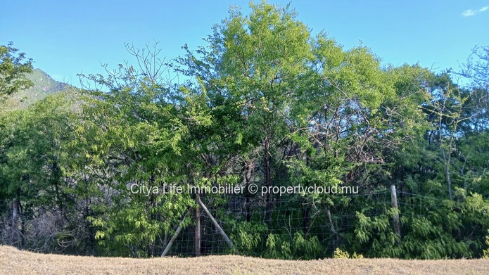Ne manquez pas cette occasion de réaliser votre projet immobilier.