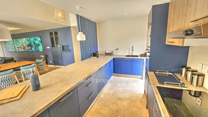 Captivating Elegance : Explore this modern villa