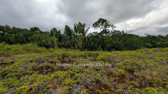 Terrain de 2,321m2 près d'une rivière 