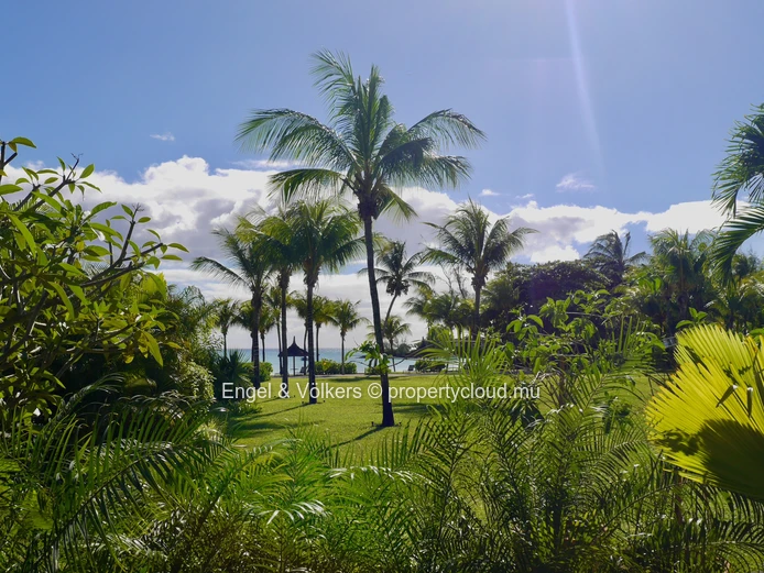 Erok, Grand Bay — Where the Ocean is Your Backyard
