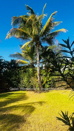 Villa de luxe rénovée à Tamarina – Près d'un hectare de jardin tropical et piscine privée