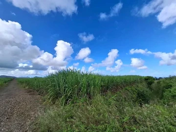 Agricultural Land