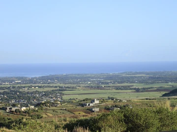 Agricultural Land
