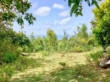 Terrain Résidentiel