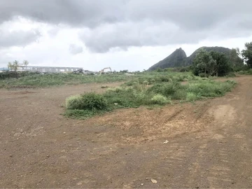 Terrain