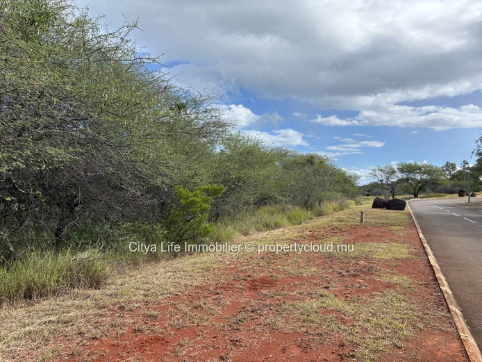 Terrain à vendre — Black River | Domaine de Palmyre | 2116 m² | Rs