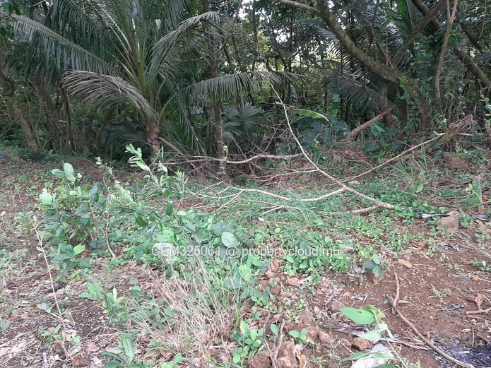 Residential Land for Sale – New Grove