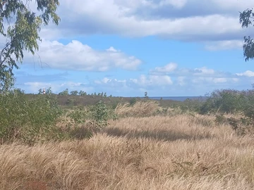 Residential Land