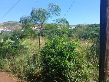Agricultural Land