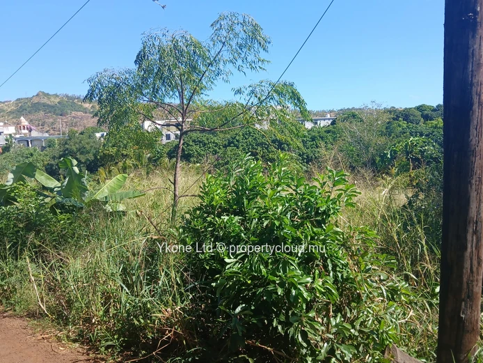 Agricultural Land For Sale In Bois Pignolet, Terre Rouge