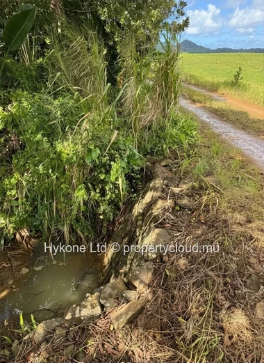 Terrain Agricole À Vendre À Riche En Eau