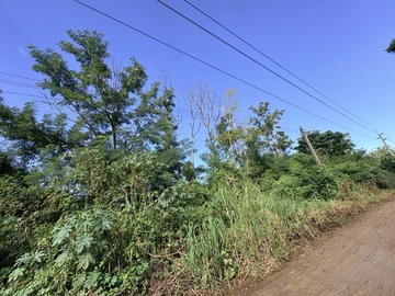 Land