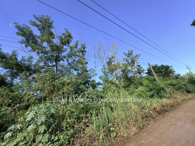 FOR SALE - Residential Land in Black River