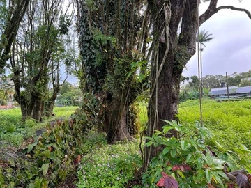 Residential Land