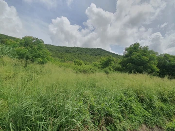 Agricultural Land