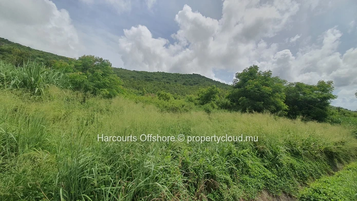 Expansive 5856 m² Agricultural Land for Sale in Verdun, Mauritius