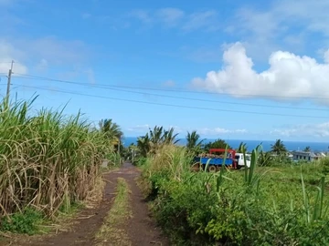Terrain Agricole
