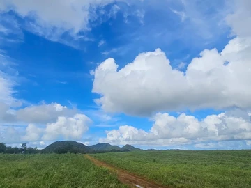 Agricultural Land