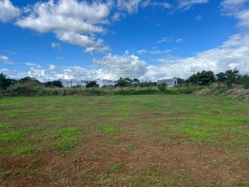 Terrain