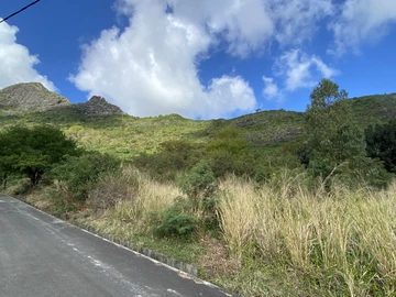 Land