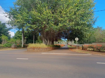 Residential Land