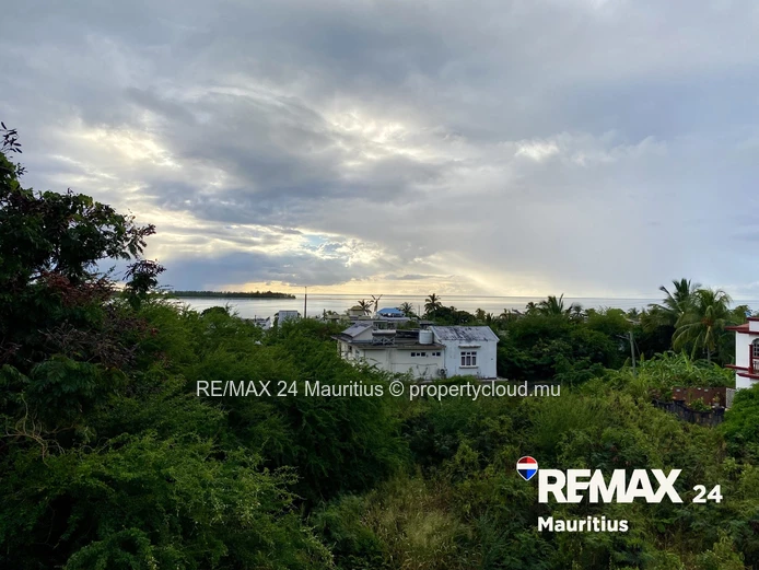 Brand-New Apartment with Views of Greenery