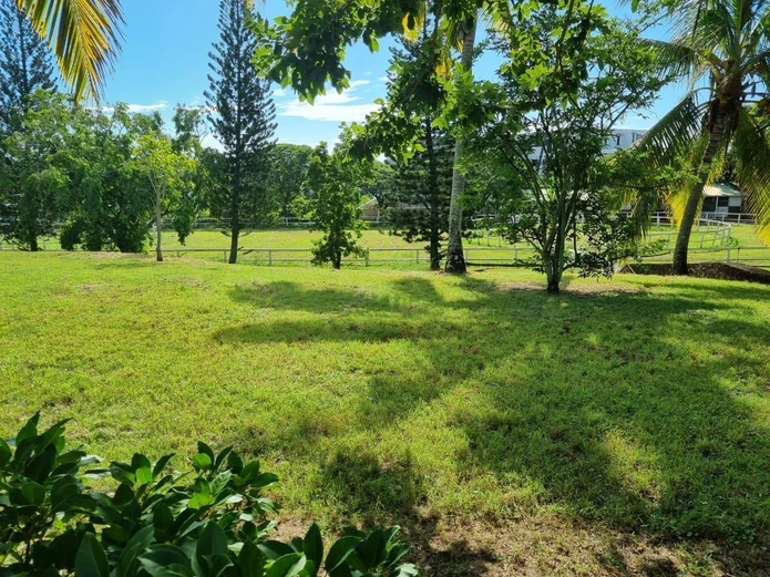 Investir dans ces espaces : 5,3 arpents de possibilités