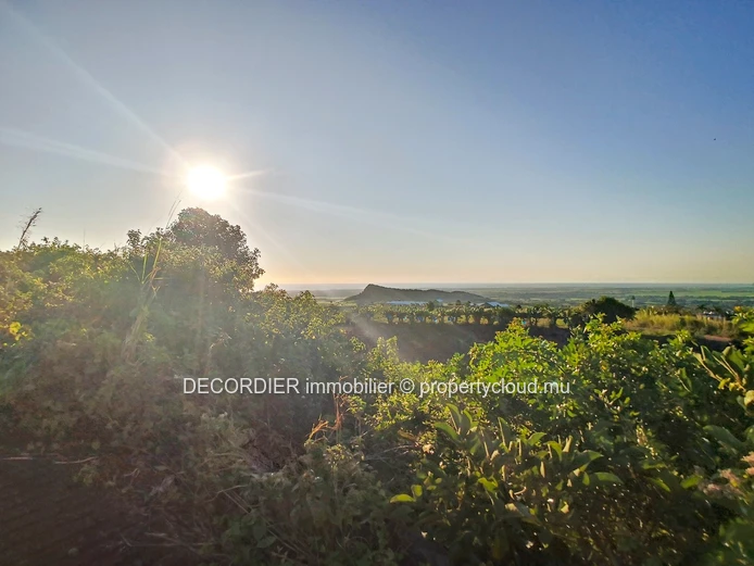 À Vendre Les Mariannes Terrain Agricole