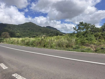 Agricultural Land