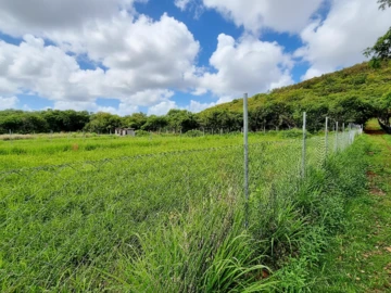 Terrain Agricole