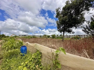 Agricultural Land