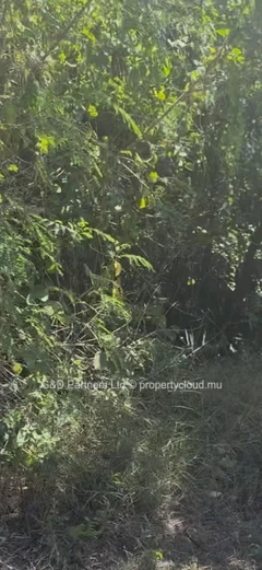 Land For Sale – Grand Gaube | 50 M From The Beach