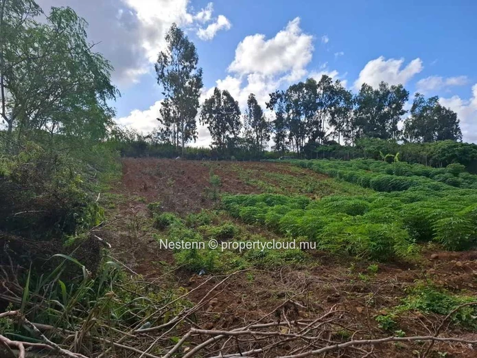 Land of 4965.12 m² 2.8 kms from main road.