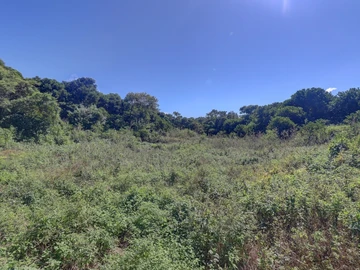 Agricultural Land