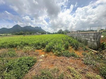 Terrain Agricole
