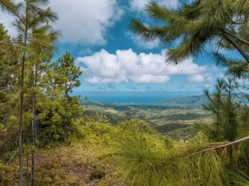 Commercial Land