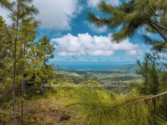 PLAINE CHAMPAGNE - TERRAIN  8900m2  COMMERCIAL