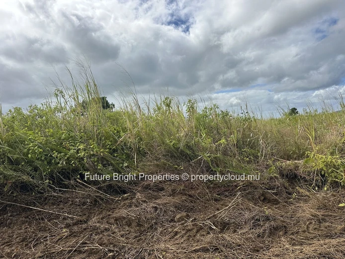 206 perches Agricultural Land for Sale in Providence Quartier Militaire.