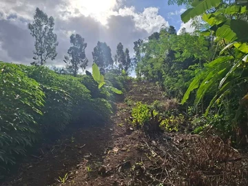 Agricultural Land