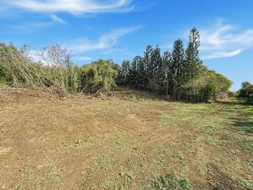 Land