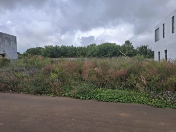 Residential Land