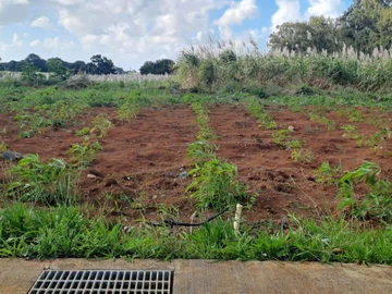 Residential Land