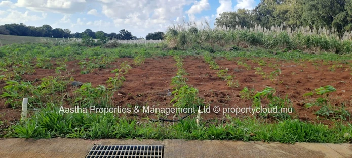 324 m² Plot in Crève Coeur – Residential Complex, Mountain View