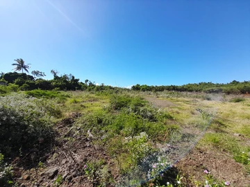 Residential Land