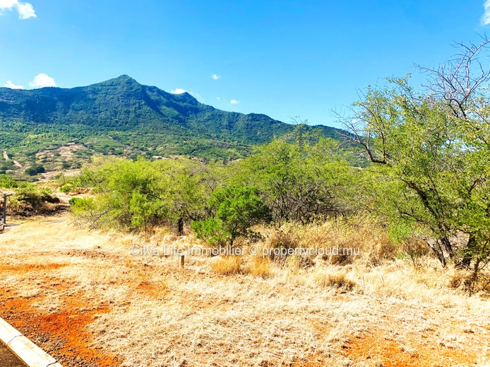 This enchanting plot of land is a piece of paradise waiting to be discovered. 